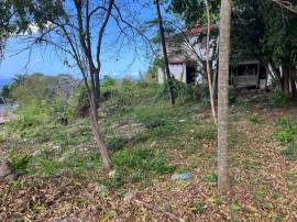 Development Land (Commercial) for Sale St. James, 