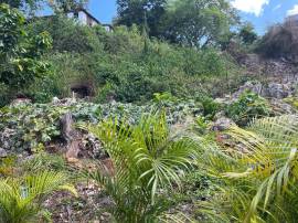 Development Land (Commercial) for Sale St. James, 