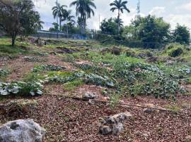 Development Land (Commercial) for Sale St. James, 