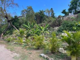 Development Land (Commercial) for Sale St. James, 