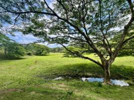 Development Land (Residential) for Sale Hanover, R