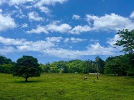 Development Land (Residential) for Sale Hanover, R