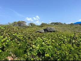 Development Land (Residential) for Sale St. Mary, 