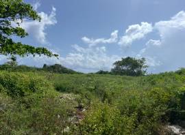 Development Land (Residential) for Sale St. Mary, 