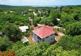 House for Sale Westmoreland, Revival