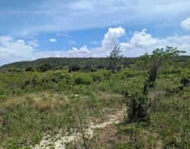 Development Land (Residential) for Sale St. Ann, D