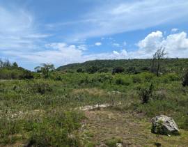 Development Land (Residential) for Sale St. Ann, D