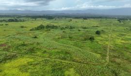 Development Land (Residential) for Sale Westmorela