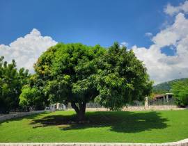 House for Rent Kingston & St. Andrew, Kingston 6