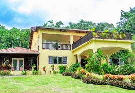 House for Sale St. Ann, Higgin Town