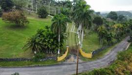 House for Sale St. Ann, Beecher Town