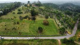 House for Sale St. Ann, Beecher Town