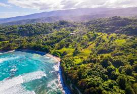 Development Land (Residential) for Sale Portland, 