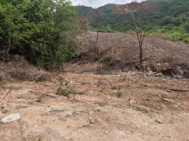 Development Land (Residential) for Sale St. Thomas
