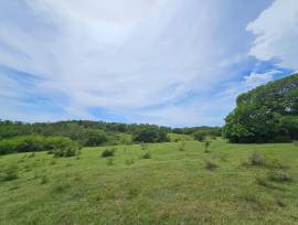 Development Land (Residential) for Sale St. Elizab