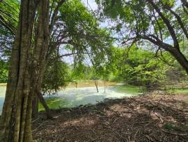 Development Land (Residential) for Sale St. Elizab