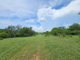 Development Land (Residential) for Sale St. Elizab