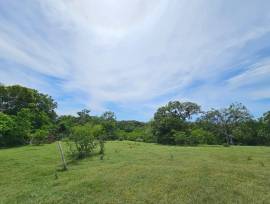 Development Land (Residential) for Sale St. Elizab