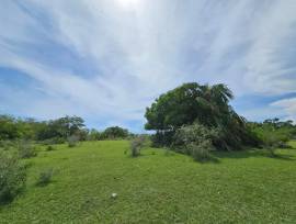 Development Land (Residential) for Sale St. Elizab