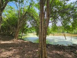 Development Land (Residential) for Sale St. Elizab