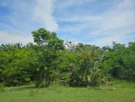Development Land (Residential) for Sale St. Elizab