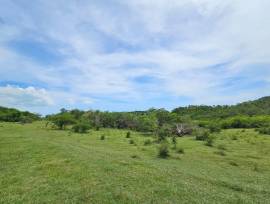 Development Land (Residential) for Sale St. Elizab