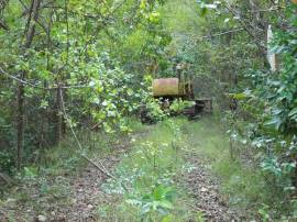 Farm/Agriculture for Sale St. Thomas, Port Morant