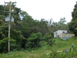 Farm/Agriculture for Sale St. Thomas, Port Morant