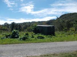 Farm/Agriculture for Sale St. Thomas, Port Morant