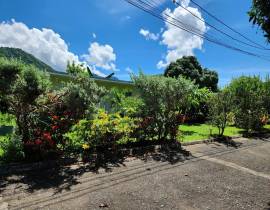 Development Land (Commercial) for Sale Kingston & 