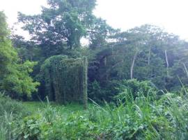 Development Land (Residential) for Sale St. James,