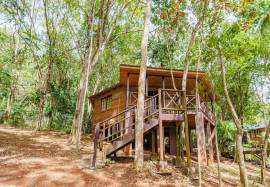 Hotel for Sale Westmoreland, Spring Garden