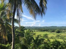 Hotel for Sale Westmoreland, Spring Garden