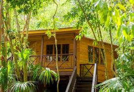 Hotel for Sale Westmoreland, Spring Garden