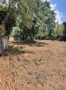 Development Land (Residential) for Sale Kingston &