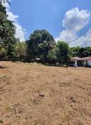 Development Land (Residential) for Sale Kingston &