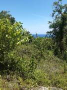 Development Land (Residential) for Sale St. Mary, 