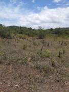 Development Land (Residential) for Sale St. Mary, 