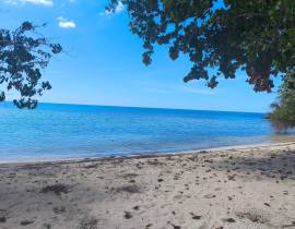 Townhouse for Sale Westmoreland, Negril