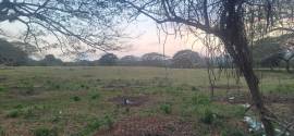 Development Land (Residential) for Sale St. Elizab