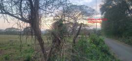 Development Land (Residential) for Sale St. Elizab