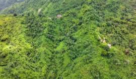 Farm/Agriculture for Sale Portland, Shirley Castle