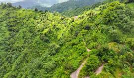 Farm/Agriculture for Sale Portland, Shirley Castle