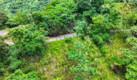 Farm/Agriculture for Sale Portland, Shirley Castle