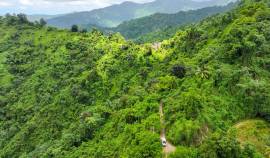 Farm/Agriculture for Sale Portland, Shirley Castle