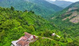 Farm/Agriculture for Sale Portland, Shirley Castle