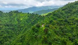 Farm/Agriculture for Sale Portland, Shirley Castle