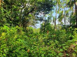 Development Land (Residential) for Sale Portland, 