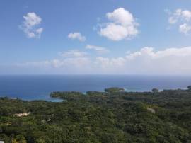 Development Land (Residential) for Sale Portland, 