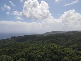 Development Land (Residential) for Sale Portland, 